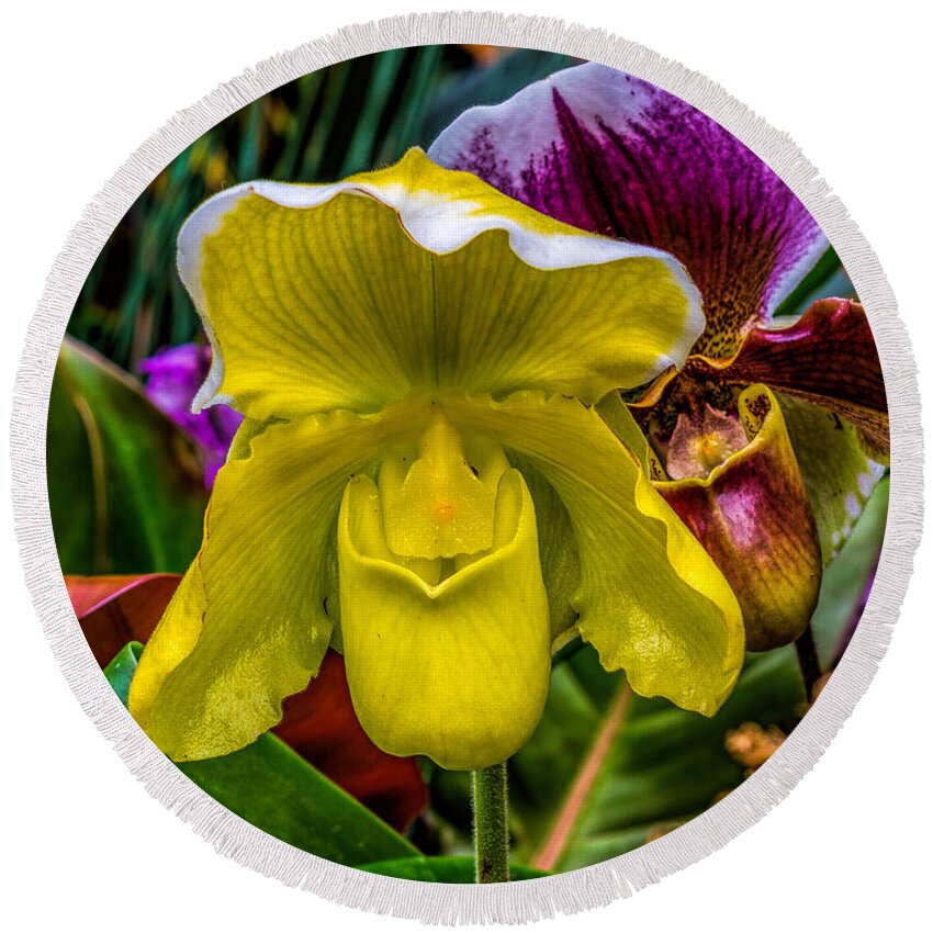 Beautiful Round Beach Towel featuring the photograph Yellow Ladyslipper by Nick Zelinsky Jr