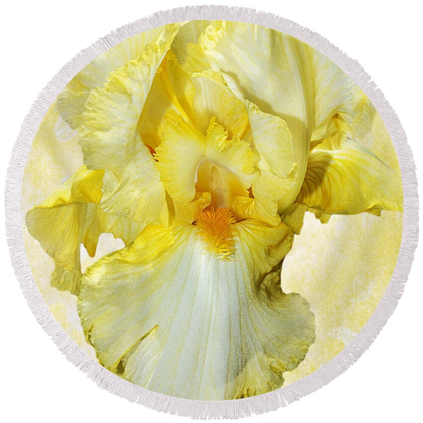 Iris Flower Round Beach Towel featuring the photograph Yellow Mist Iris by Phyllis Denton