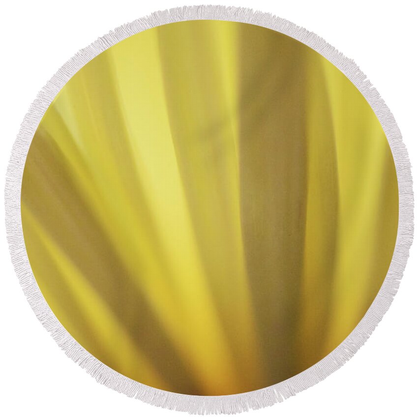 Photograph Round Beach Towel featuring the photograph Yellow Mum Petals #12 by Larah McElroy