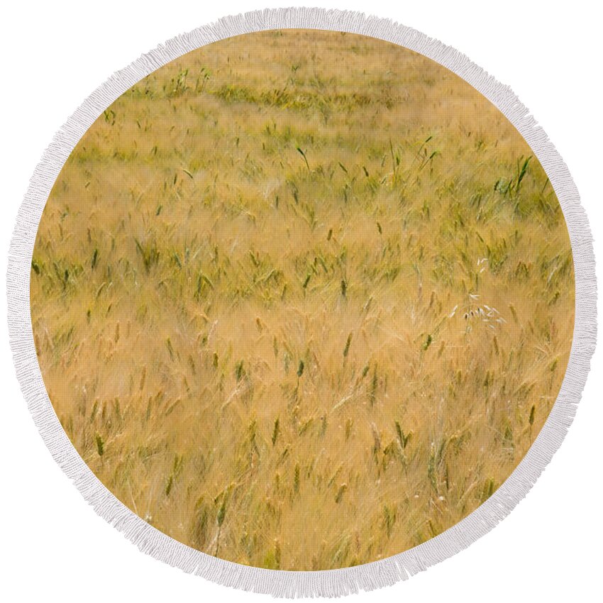 Abstract Round Beach Towel featuring the photograph Yellow nature abstract background by Michalakis Ppalis