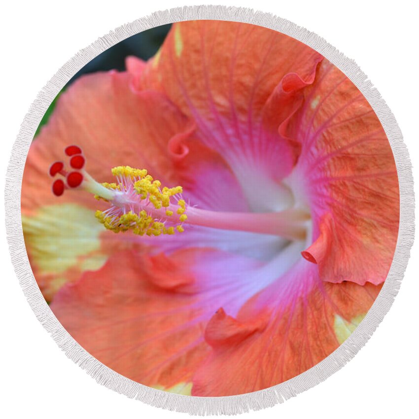 Flower Round Beach Towel featuring the photograph Yellow Orange Hibiscus by Amy Fose