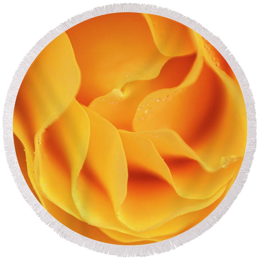 Flower Round Beach Towel featuring the photograph Yellow rose of Texas by Usha Peddamatham