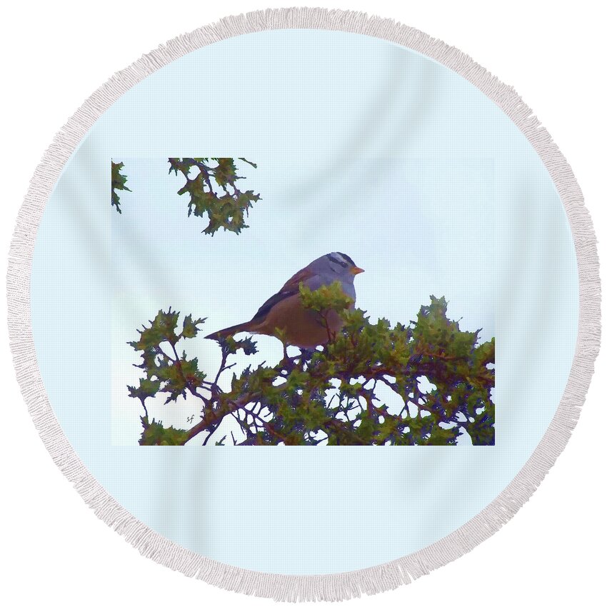 Birds Round Beach Towel featuring the mixed media White Crowned Sparrow in Cedar by Shelli Fitzpatrick