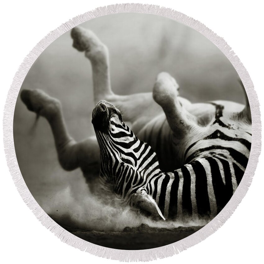 Zebra Round Beach Towel featuring the photograph Zebra rolling by Johan Swanepoel