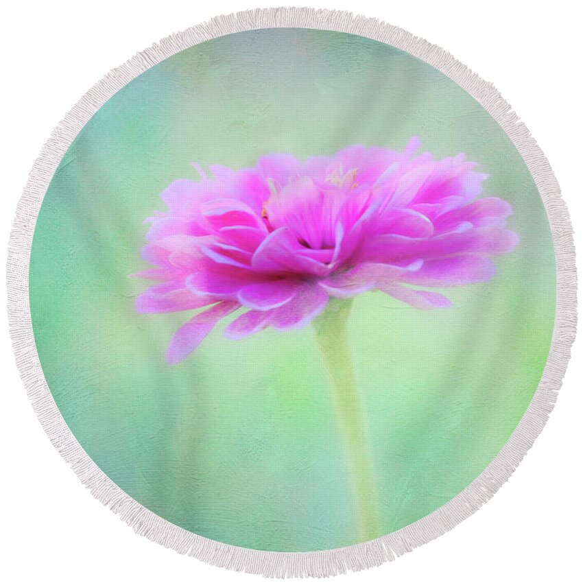 Zinnia Round Beach Towel featuring the photograph Painted Pink Zinnia by Anita Pollak