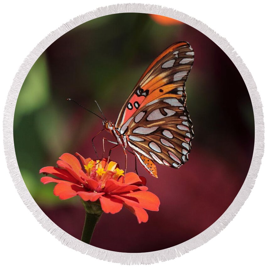 Zinnia Round Beach Towel featuring the photograph Zinnia with Butterfly 2668 by John Moyer
