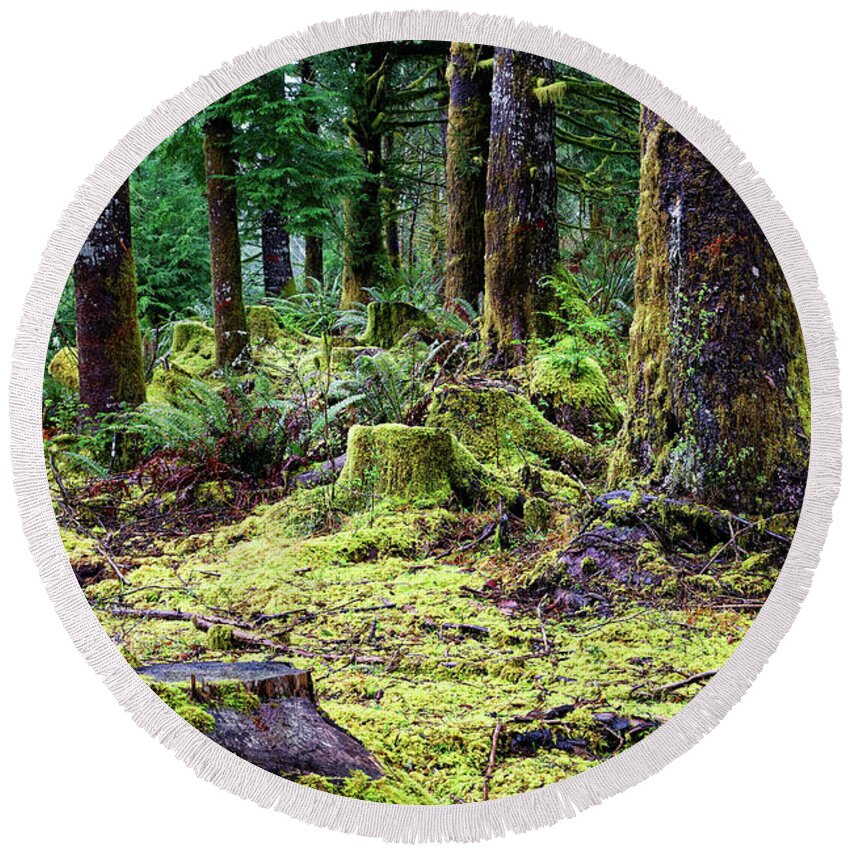 Close Up Round Beach Towel featuring the photograph Forest Understory Yellow Green Moss by Robert C Paulson Jr