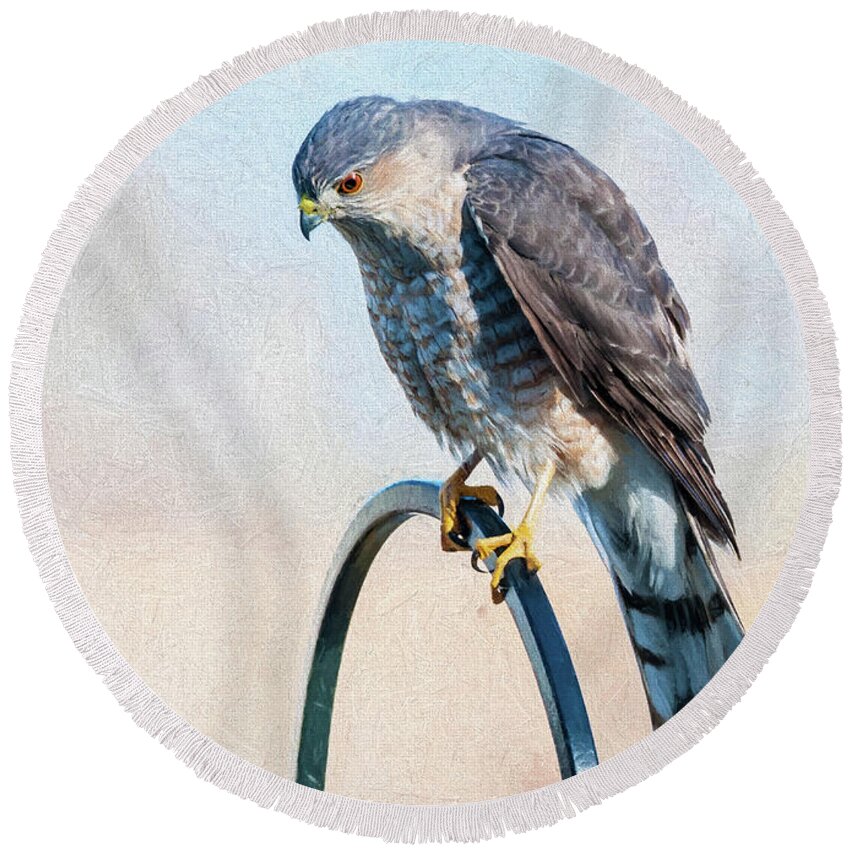 Raptor Round Beach Towel featuring the photograph Coopers Hawk #1 by Cathy Kovarik