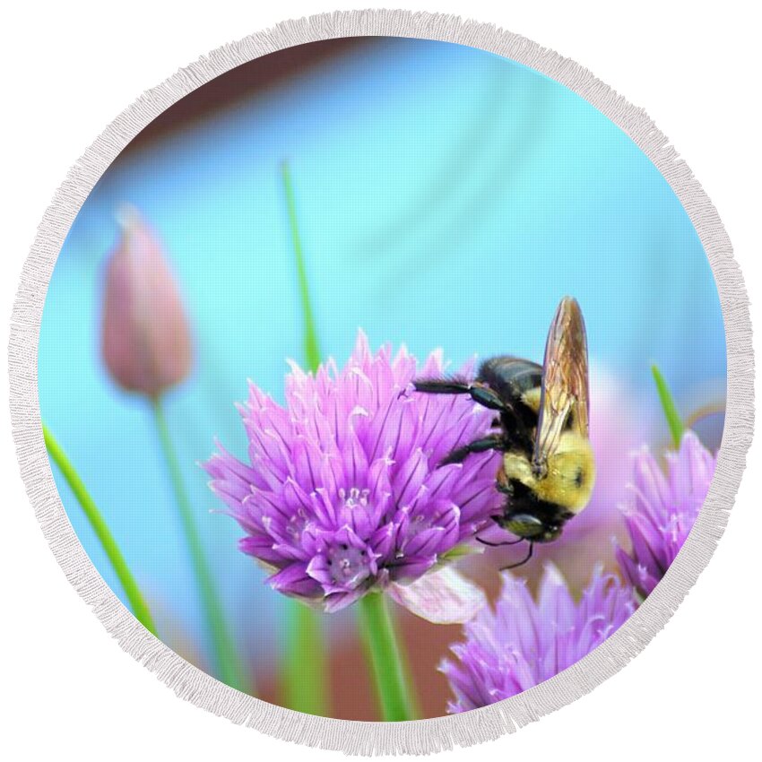 Chives Round Beach Towel featuring the photograph Feeding time #2 by Merle Grenz
