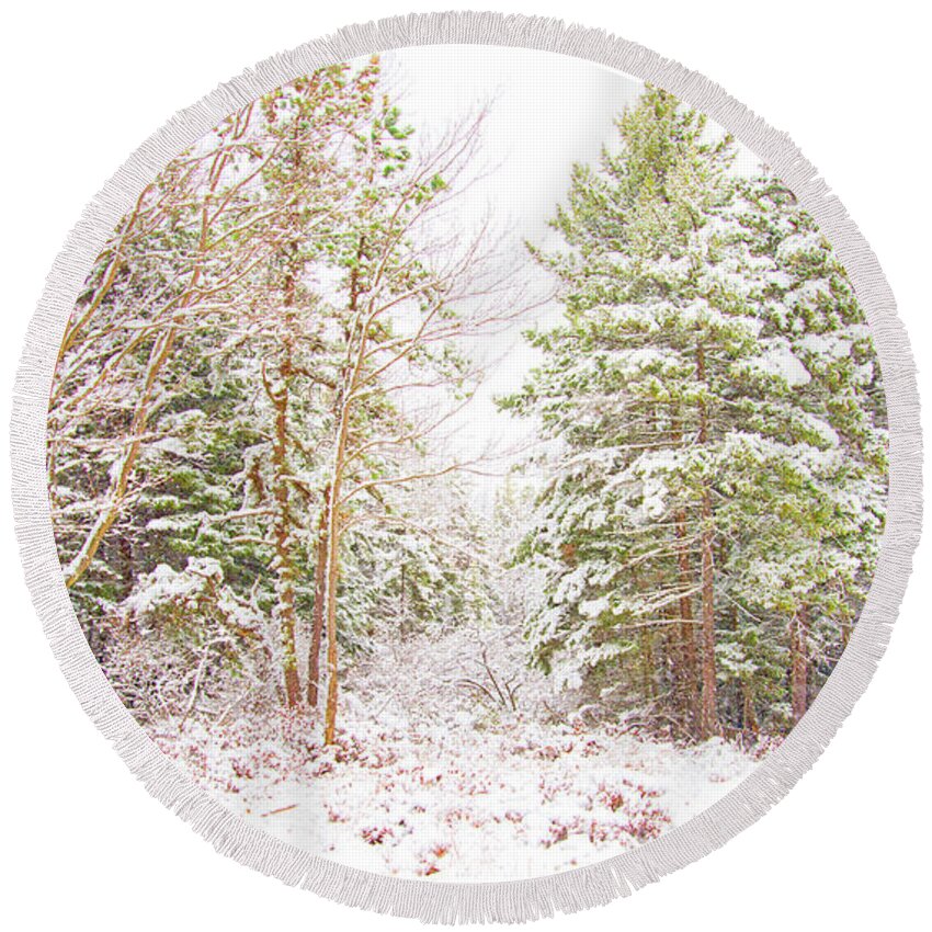 Forest Round Beach Towel featuring the photograph Forest Edge in Snow, Pocono Mountains, Pennsylvania #2 by A Macarthur Gurmankin