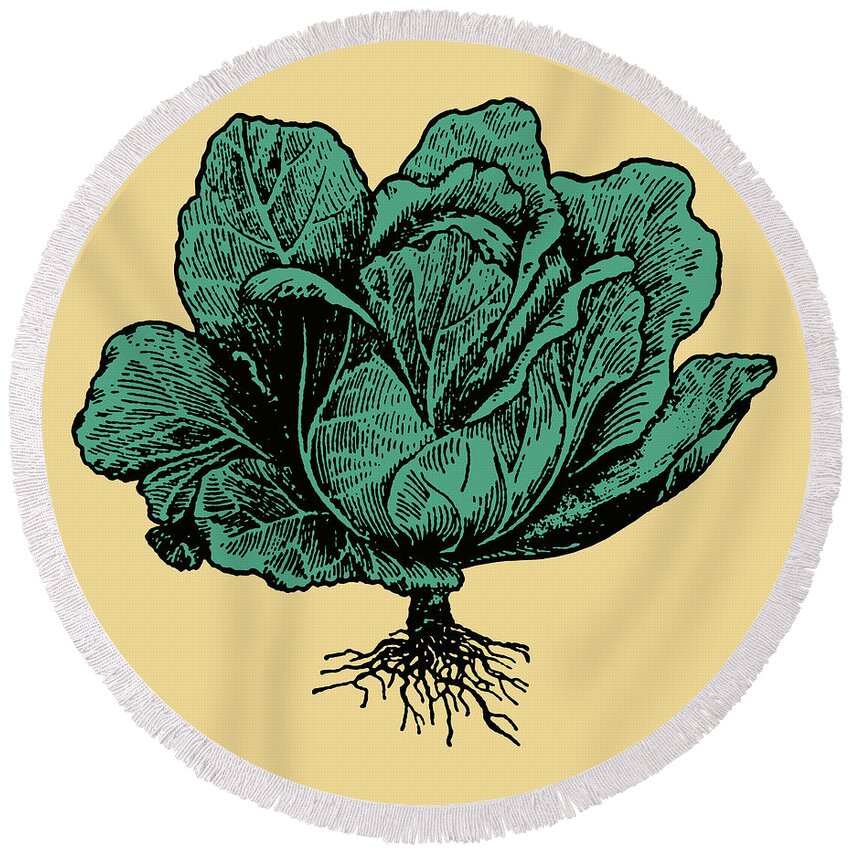 Campy Round Beach Towel featuring the drawing Head of Lettuce #1 by CSA Images