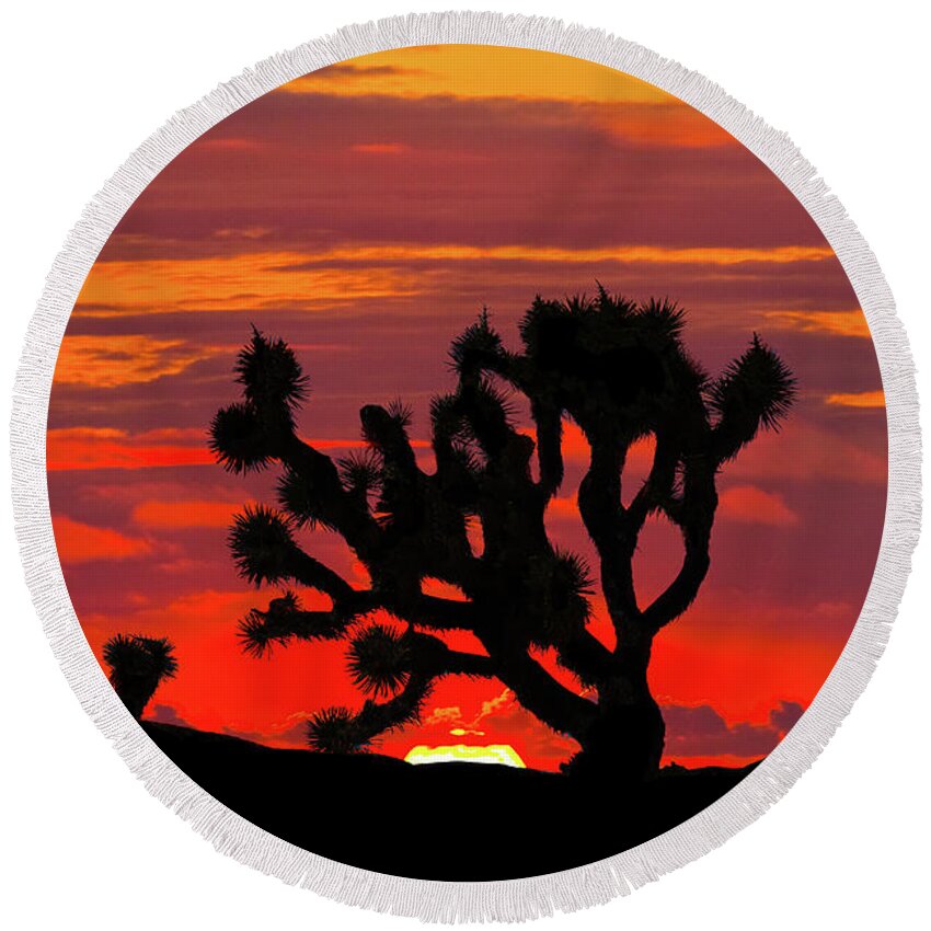 Arid Climate Round Beach Towel featuring the photograph Joshua Tree at Sunset by Jeff Goulden