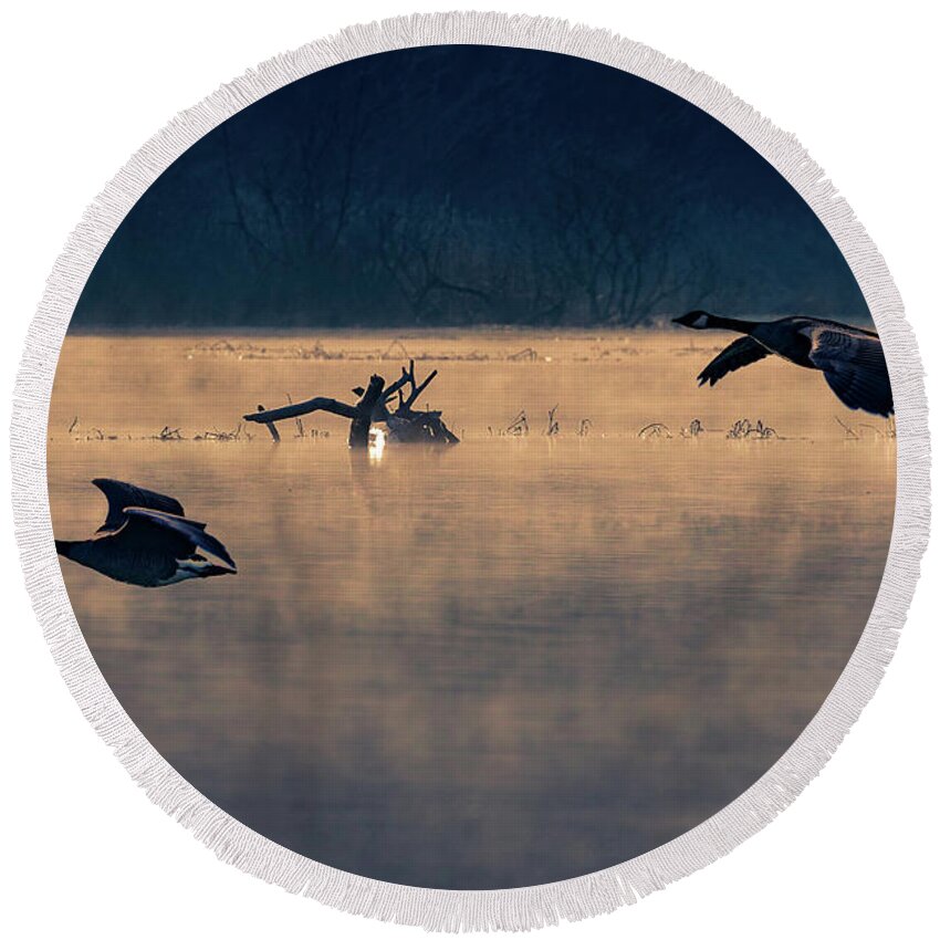 Geese Round Beach Towel featuring the photograph Morning Flight #1 by Allin Sorenson