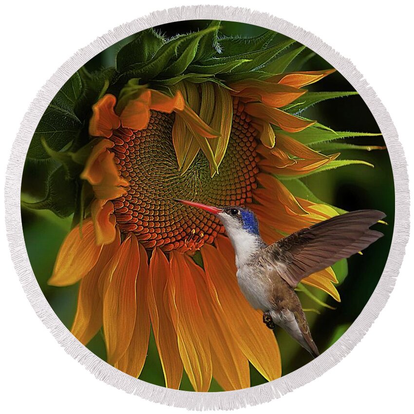 Sunflower Round Beach Towel featuring the photograph Together Again #1 by John Kolenberg