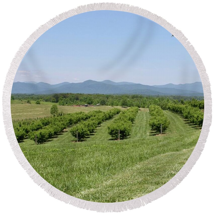 Vineyard Round Beach Towel featuring the photograph Vineyard #1 by Flavia Westerwelle