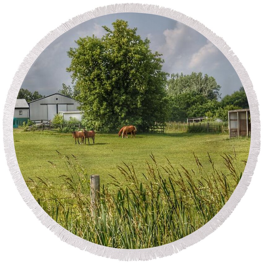 Landscape Round Beach Towel featuring the photograph 1032 - Hunters Creek Ponies by Sheryl L Sutter