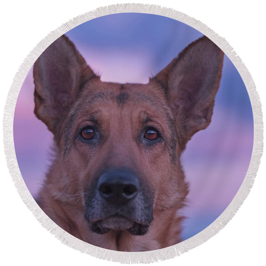 Animal Round Beach Towel featuring the photograph Liesl #13 by Brian Cross