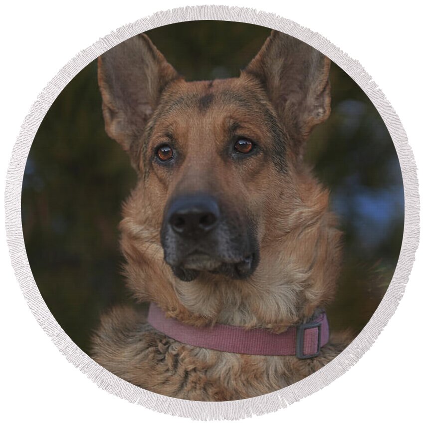 Animal Round Beach Towel featuring the photograph Liesl #15 by Brian Cross