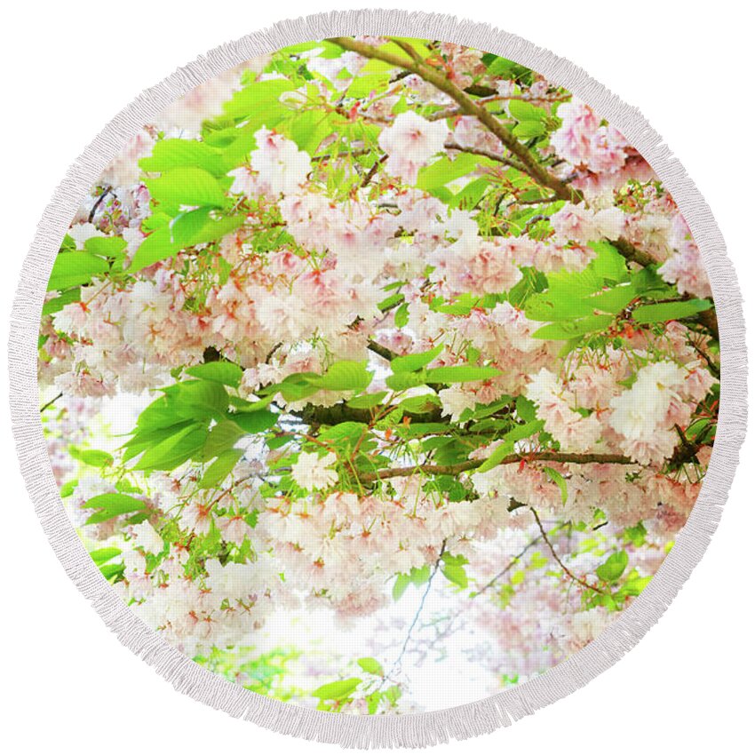 Background Round Beach Towel featuring the photograph Cherry tree blossom #3 by Anastasy Yarmolovich