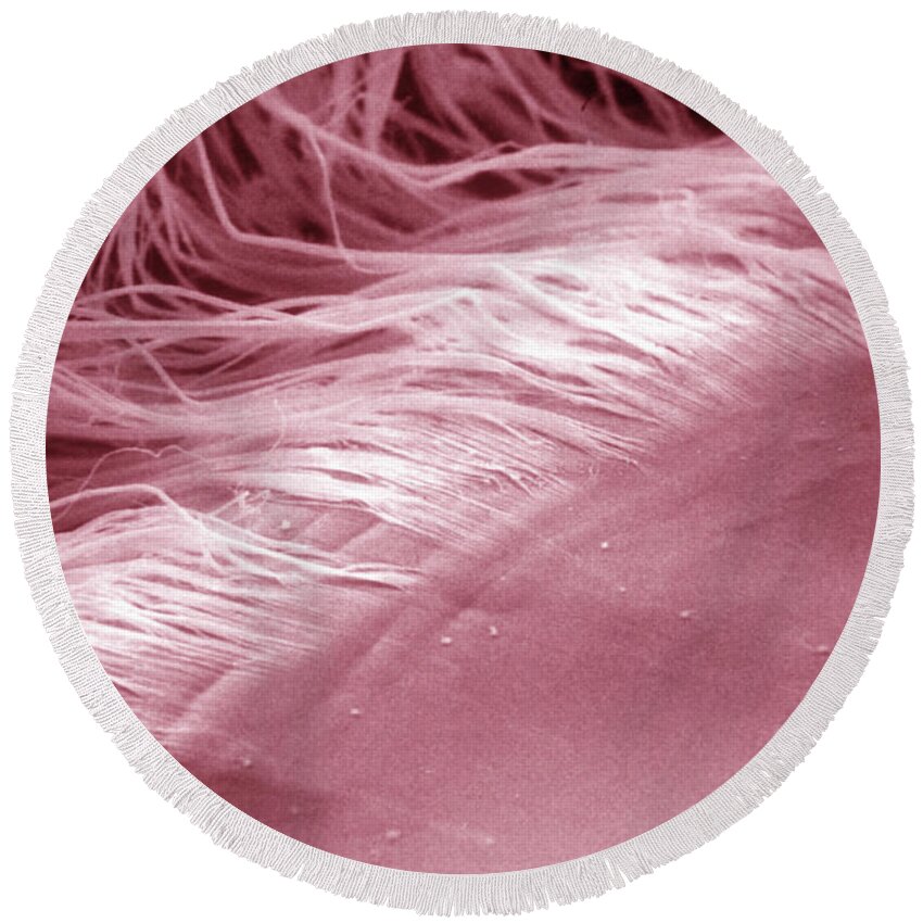 Abstract Round Beach Towel featuring the photograph Eye, Sem #2 by Ralph C. Eagle
