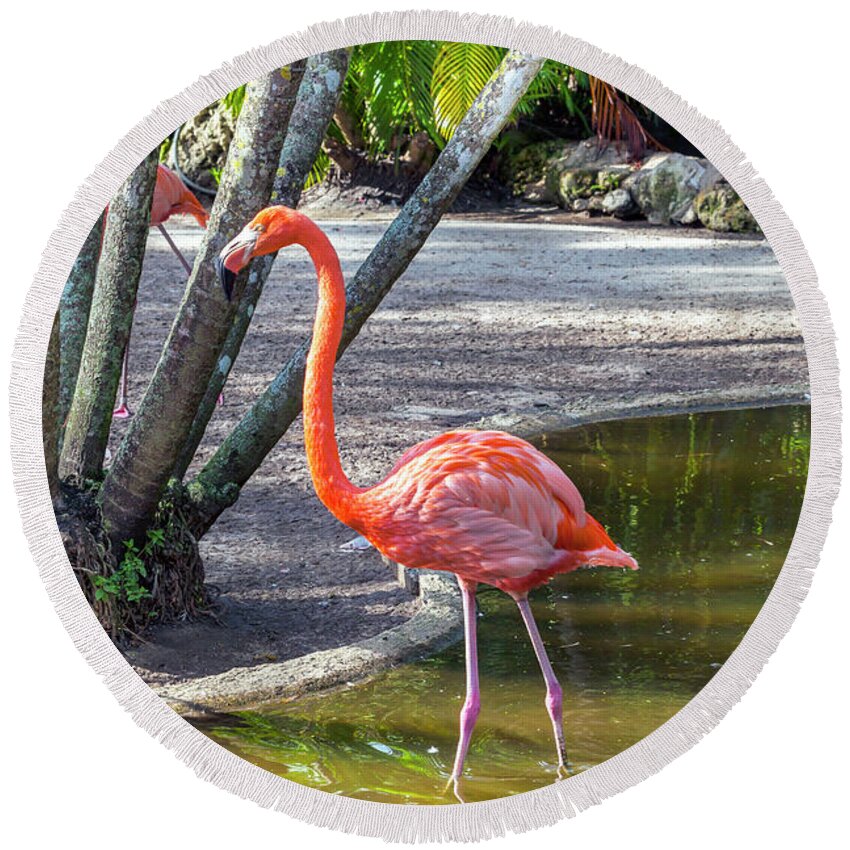 Estock Round Beach Towel featuring the digital art Flamingo Gardens, Davie, Fl #2 by Lumiere