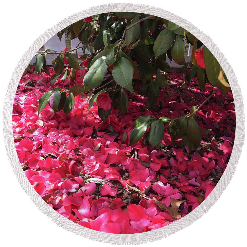 Pink Round Beach Towel featuring the photograph Heaven Sent #2 by Matthew Seufer