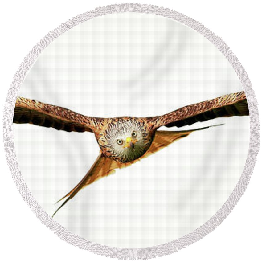 Red Kite Round Beach Towel featuring the photograph Red Kite - Bird of Prey in flight #1 by Grant Glendinning
