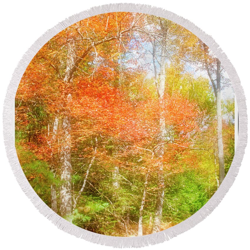 Environment Round Beach Towel featuring the photograph Forest Interior, Autumn, Pocono Mountains, Pennsylvania #3 by A Macarthur Gurmankin