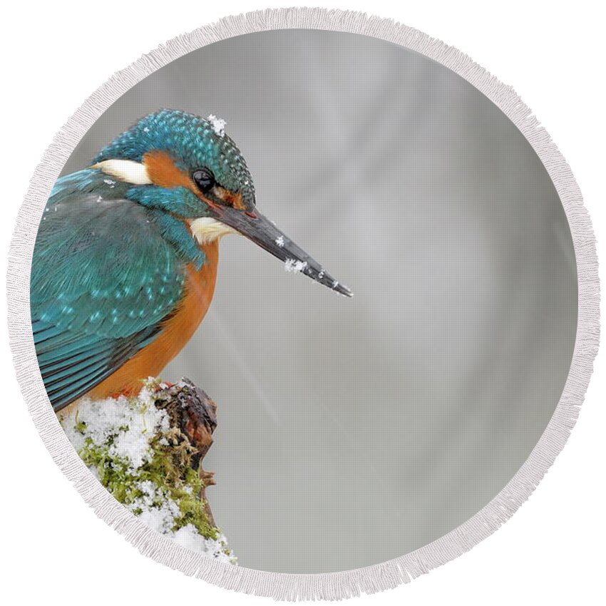 Estock Round Beach Towel featuring the digital art Kingfisher #3 by Manfred Delpho
