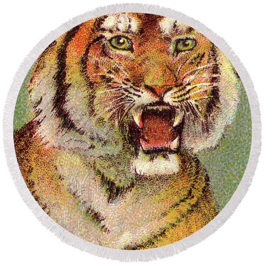 Animal Round Beach Towel featuring the drawing Tiger #30 by CSA Images