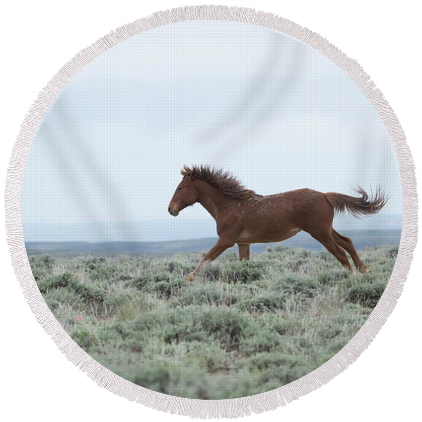 Wyoming Round Beach Towel featuring the photograph Wyoming Wild Horses #6 by Patrick Nowotny