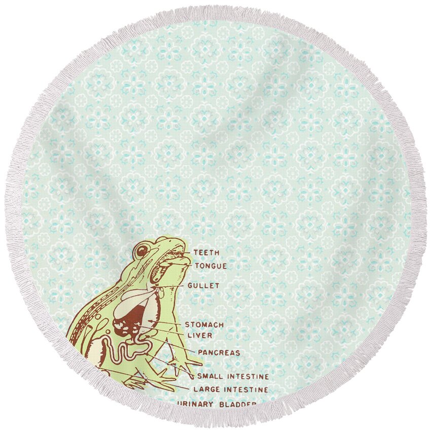 Insect Anatomy Round Beach Towels