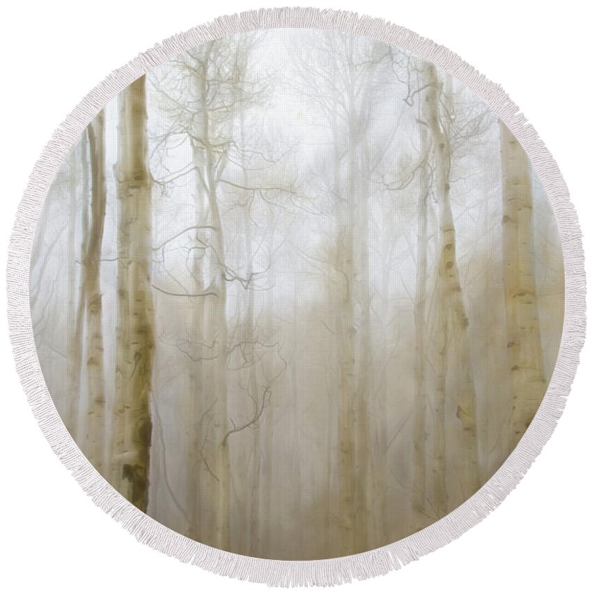 Aspen Round Beach Towel featuring the photograph A Golden Blanket - Into the Mist series by Debra Boucher
