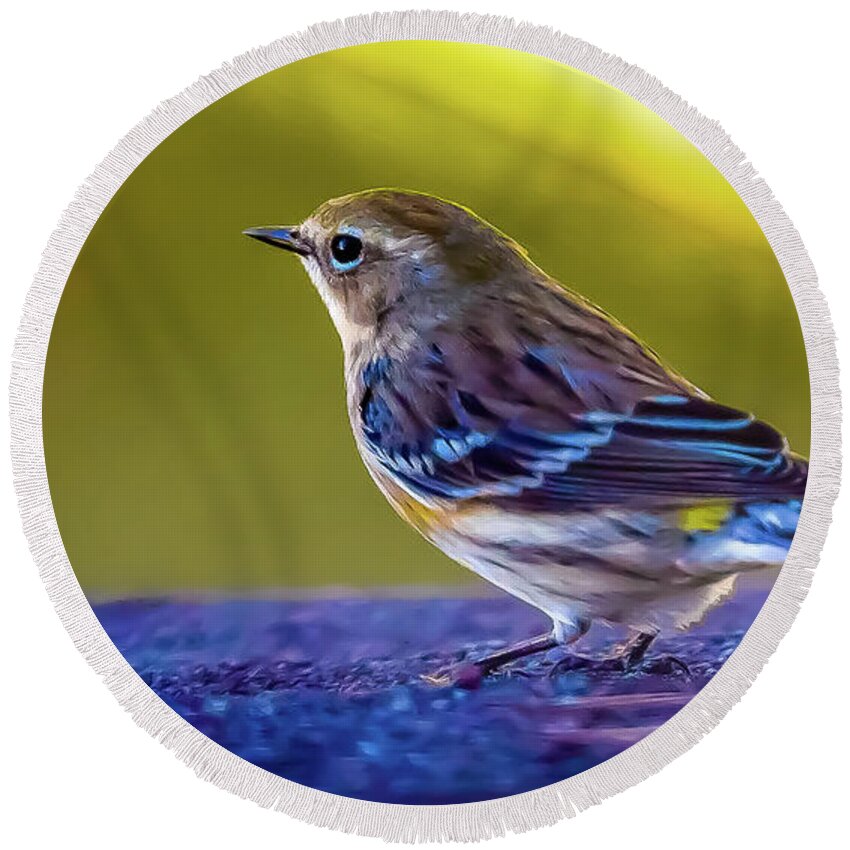 Bird Round Beach Towel featuring the digital art A Yellow Rumped Warbler Visitor by Ed Stines