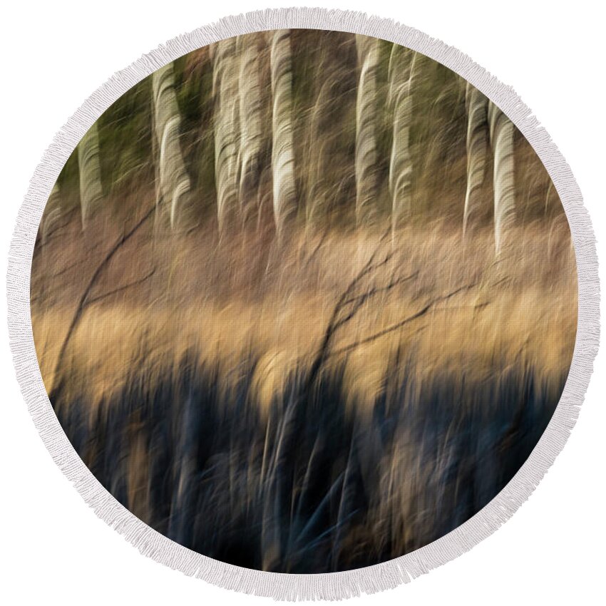 Abstract Round Beach Towel featuring the photograph Abstract of Birch At The Edge Of The Marsh 2018-1 by Thomas Young