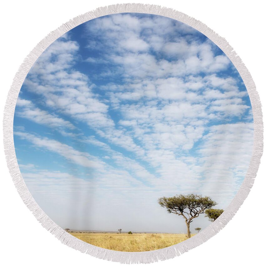 National Round Beach Towel featuring the photograph Acacia trees in the Masai Mara by Jane Rix