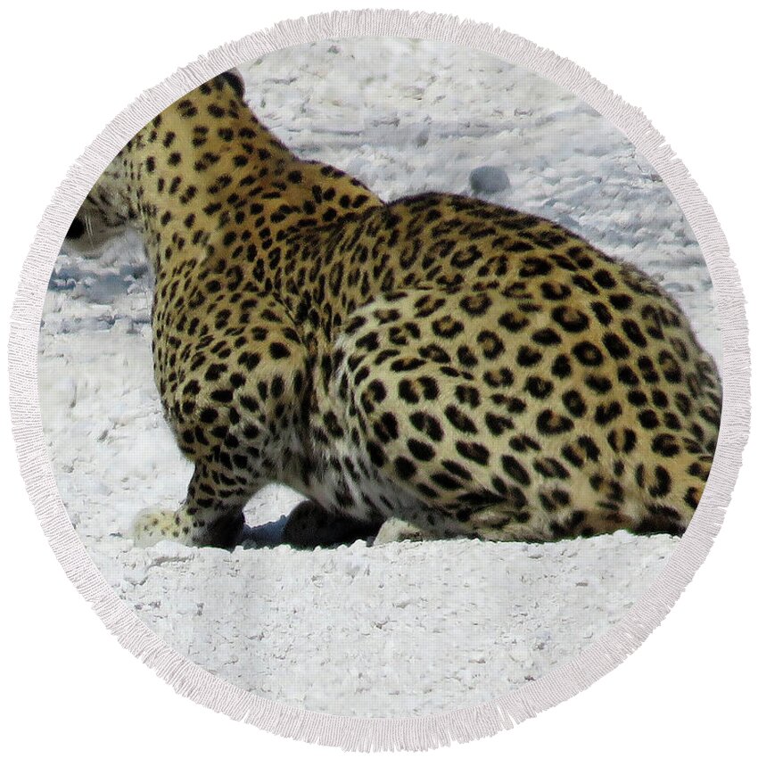 Africa Round Beach Towel featuring the photograph African Leopard by Eric Pengelly