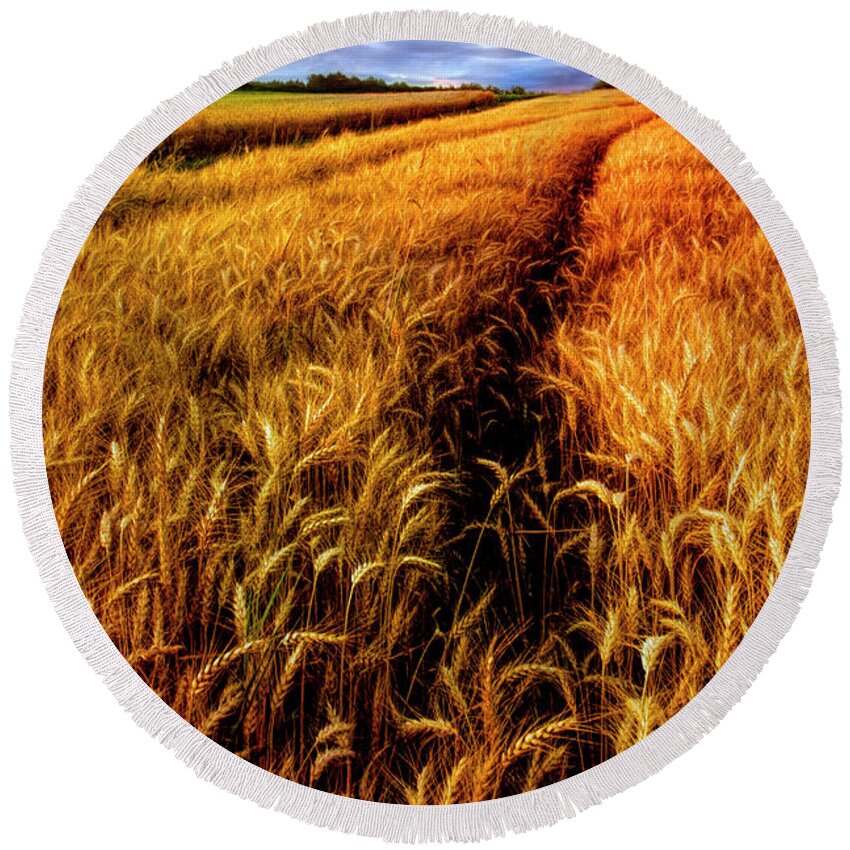 American Round Beach Towel featuring the photograph Amber Waves of Grain Painting by Debra and Dave Vanderlaan