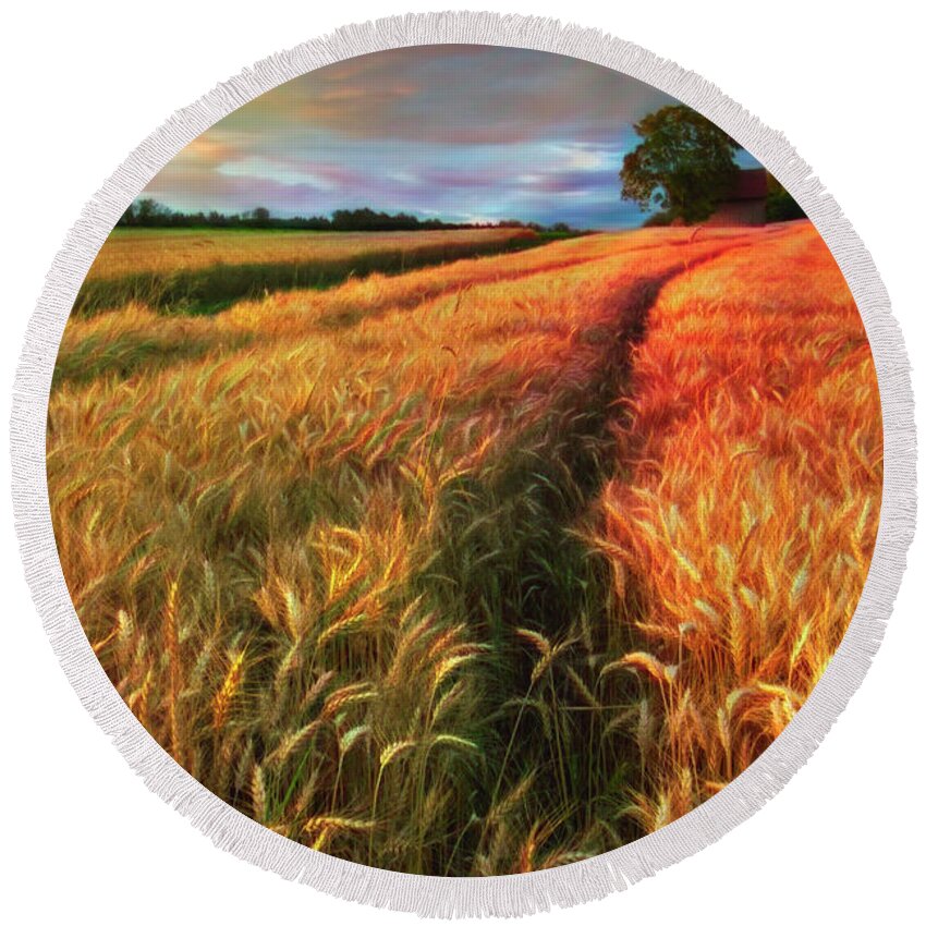 Barn Round Beach Towel featuring the photograph Amber Waves of Grain Watercolors Painting by Debra and Dave Vanderlaan