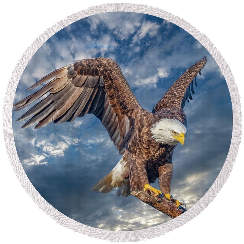 Eagles Round Beach Towel featuring the photograph American Bald Eagle Incoming TWO by DB Hayes