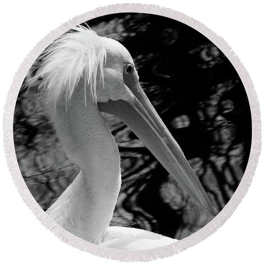 American White Pelican Round Beach Towel featuring the photograph American White Pelican in Black and White by Judy Wanamaker
