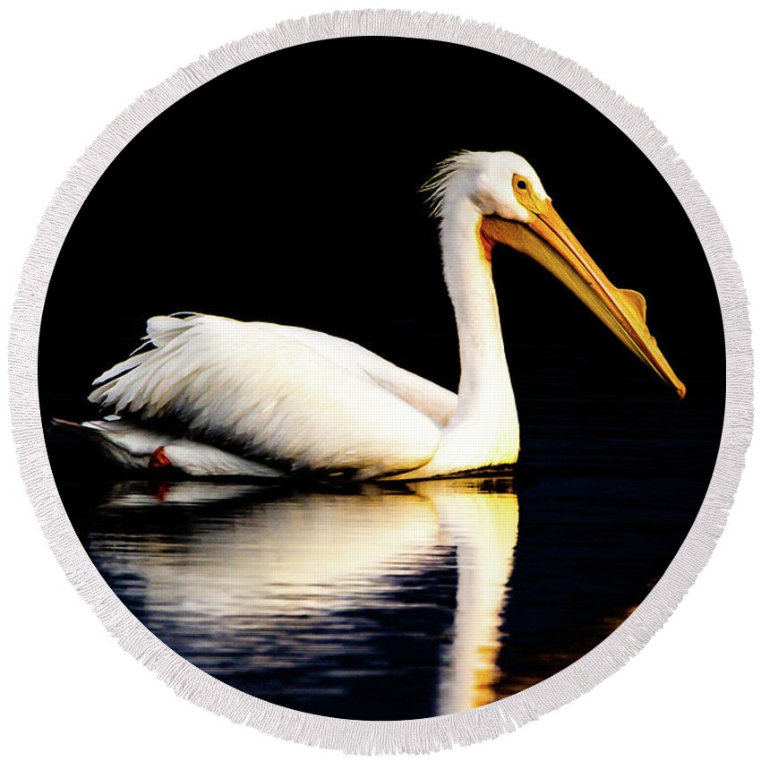 Birds Round Beach Towel featuring the photograph American White Pelican by Norman Peay