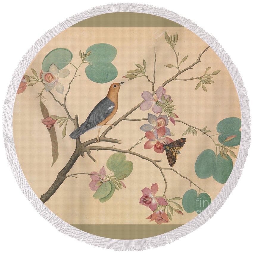 Orchid Round Beach Towel featuring the painting An Orange Headed Ground Thrush and a Deaths Head Moth on a Purple Ebony Orchid Branch, 1788 by Sheikh Zainuddin