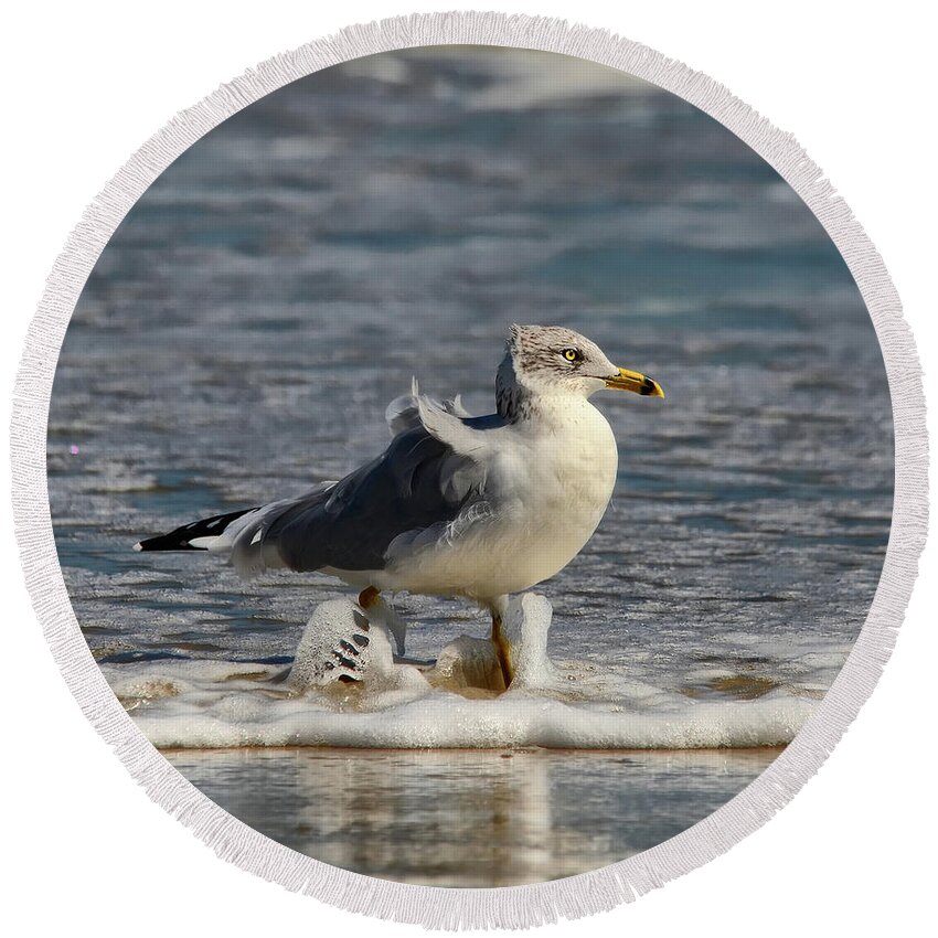 Seagull Round Beach Towel featuring the photograph A Stroll In The Surf by Lois Bryan