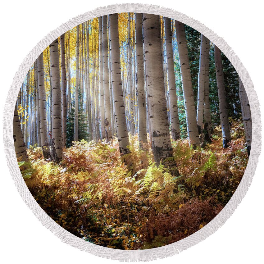 Aspens Round Beach Towel featuring the photograph Aspen Alley by David Soldano