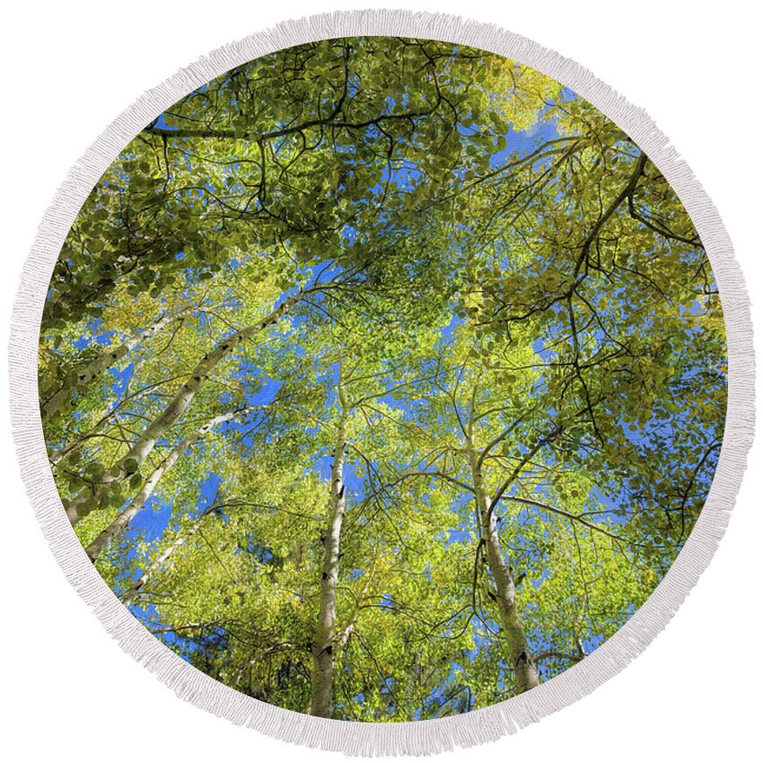 Trees Round Beach Towel featuring the photograph Aspens by Gaye Bentham