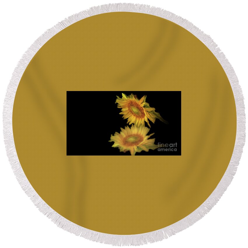 Sunflower August Reflection Summer Floral Seeds Round Beach Towel featuring the photograph August Sunflower Reflection by Janette Boyd