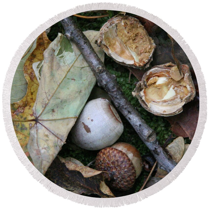 Acorn Round Beach Towel featuring the photograph Autumn Acorns by Patricia Overmoyer