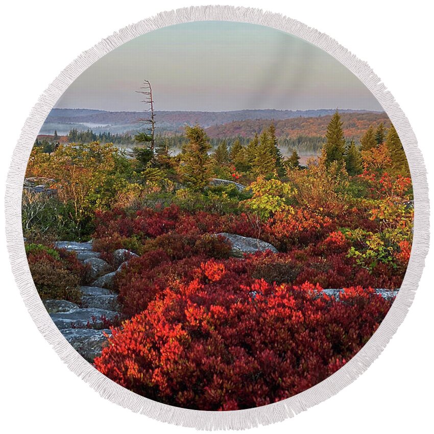 Dolly Sods Round Beach Towel featuring the photograph Autumn at Dolly Sods by Lori Coleman
