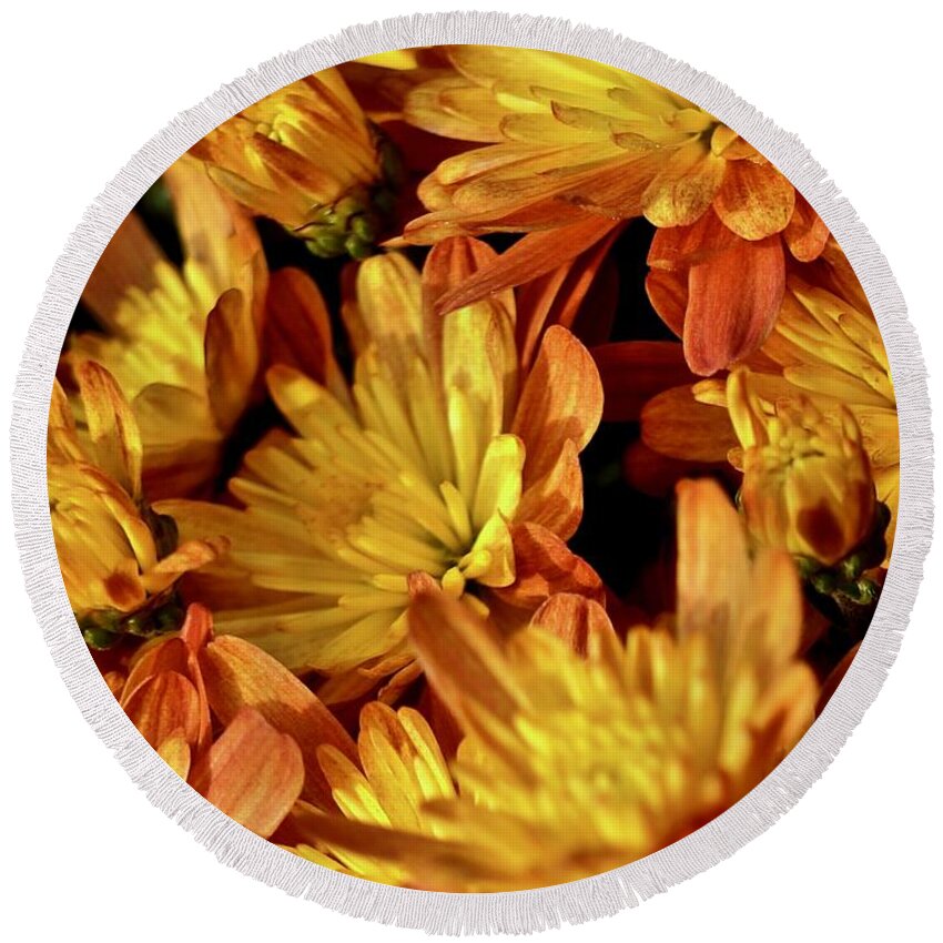 Autumn Round Beach Towel featuring the photograph Autumn Chrysanthemums by Kathy Chism